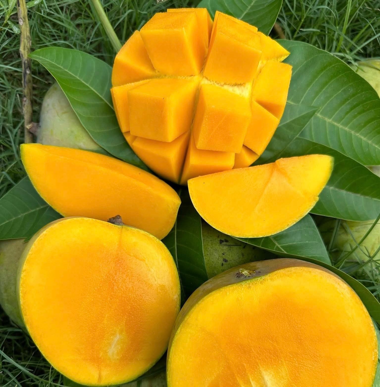 বিশ্ববাজারে জ্বালানির দামে নতুন পরিবর্তন